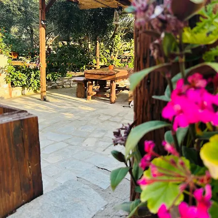 Balis House Дом отдыха Theologos (Thasos)